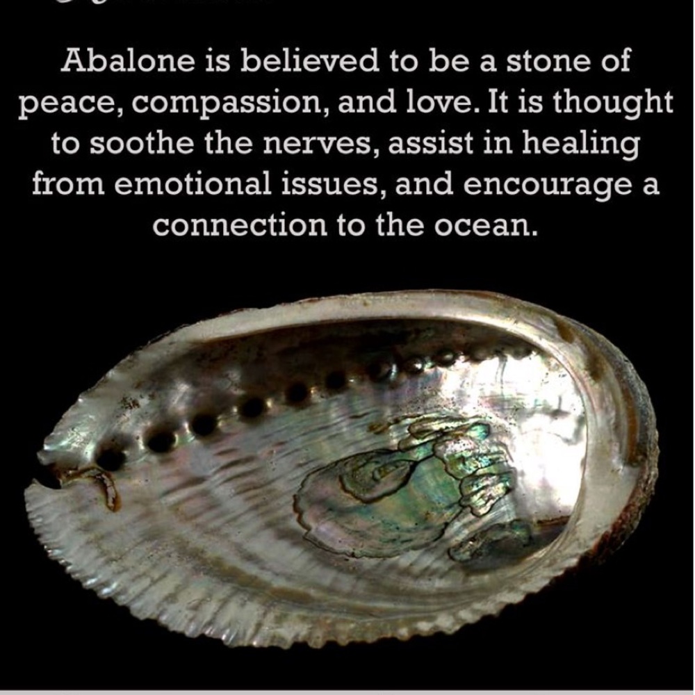 Abalone Shell Stretch Cuff Bracelet - image 5